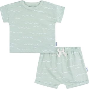 Gerber Baby & Toddler Boys T-Shirt and Shorts Outfit Set