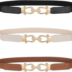 JASGOOD Women Skinny Elastic Belt for Dresses,Thin Retro Stretch Waist Belt with Golden Buckle